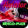 bingo Live Casino Prime