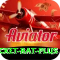 cricket bat Casino Official v1.0.3