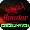 cricket pitch - Slots Supreme