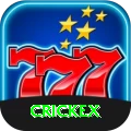 crickex Games Champion