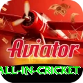 fastest ball in cricket Plus v4.1.9