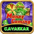 gavaskar Plus v2.4.3