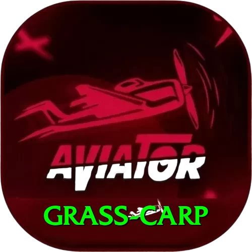 grass carp Official v3.3.4 - 2