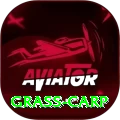 grass carp Official v3.3.4