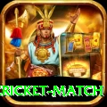 india pakistan cricket match Champion v1.7.1
