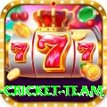 new zealand cricket team APK Deluxe v1.9.8