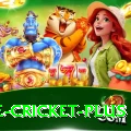 one cricket Deluxe v5.9.5