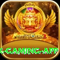 pakvip Max Gaming App