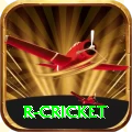 r cricket Elite PK v5.2.3