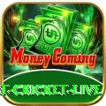 smart cricket live Live Casino Deluxe