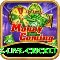 smartcric live cricket - VIP Ultimate