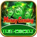 test cricket Pro Gaming App