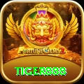 tiger888 Live Prime