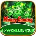 under 19 cricket world cup - Real Money Gold