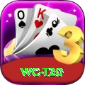 wc t20 Super APK v2.7.1