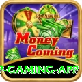 wwb777 VIP Gaming App